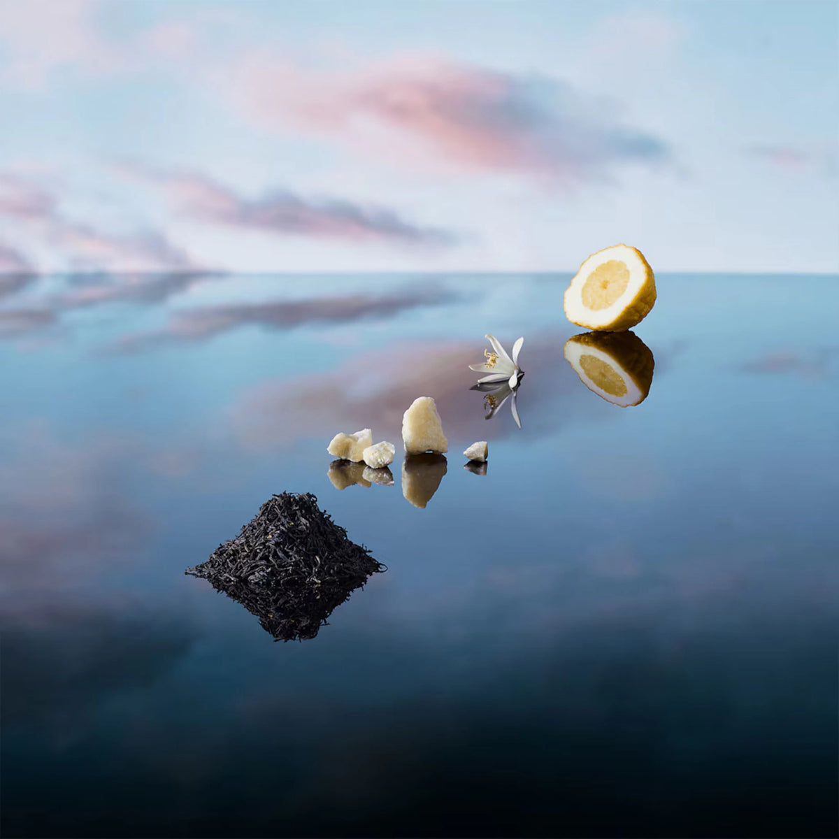 Black tea leaves, citrus and blossom drifting over water, the materials behind Louis Vuitton Imagination