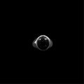 Onyx Ring — main product photo | Steelixe